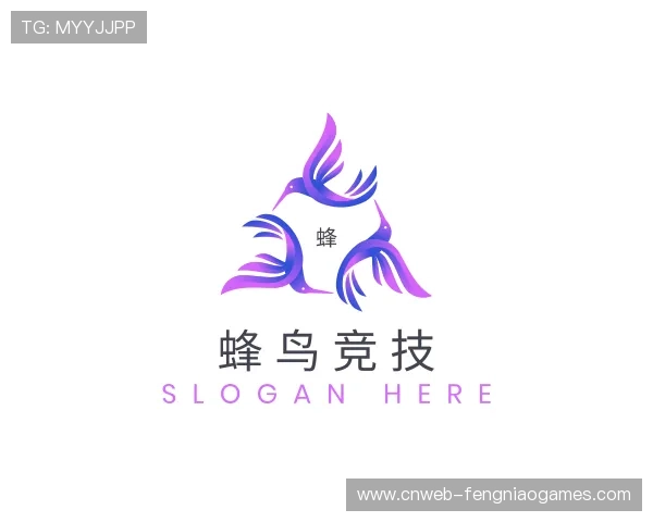 介绍蜂鸟竞技中心